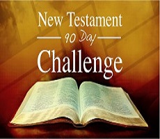 New Testament Reading Plan in 90 Days.