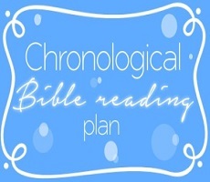 Chronological New Testament Bible Readin in 120 days.