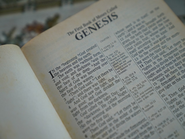 Books in Order from Genesis to Revelation