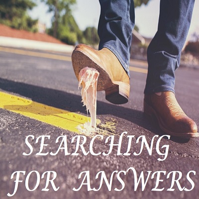 Searching For Answers